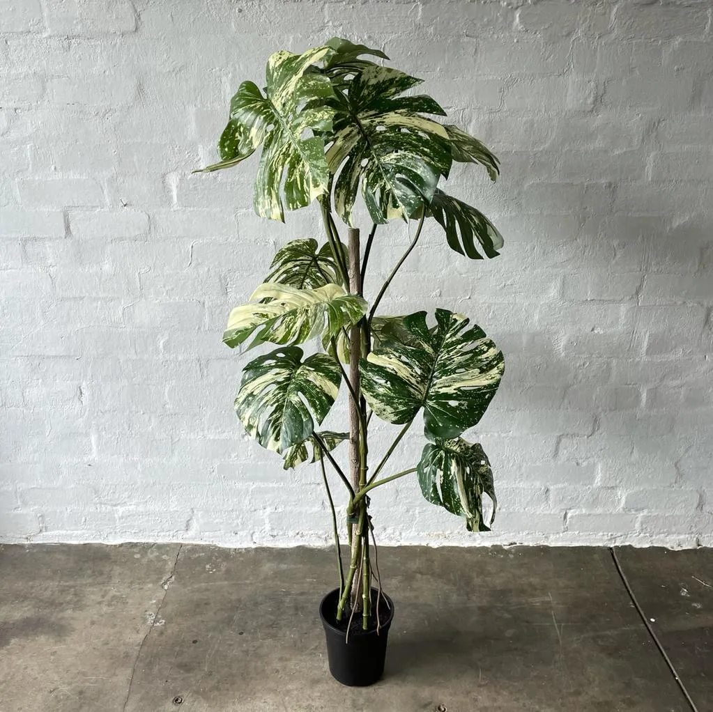 Artificial Variegated Monstera