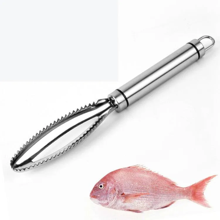 Stainless Steel Fish Scale Scraper Scaler Tool