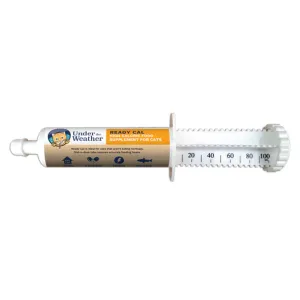 Under the Weather Ready Cal High Calorie Supplement for Cats 80cc tube