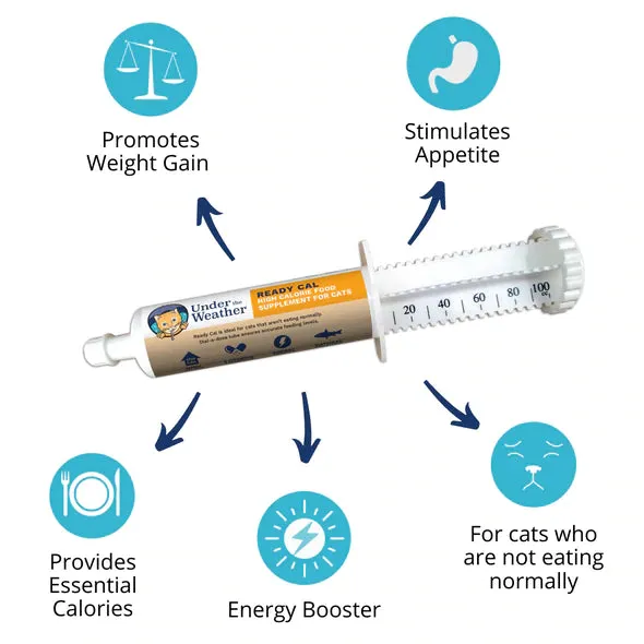 Under the Weather Ready Cal High Calorie Supplement for Cats 80cc tube